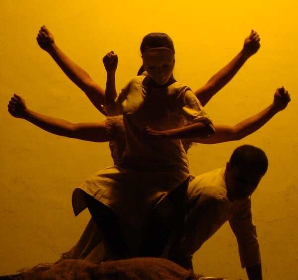 Theatre Buzz: This play chronicles the loss of a species