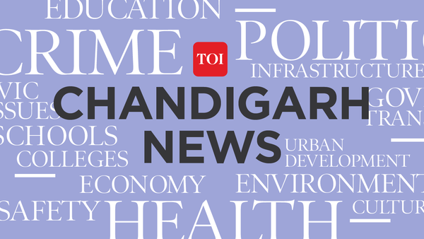 Hitting the brakes on gang wars in Chandigarh: 8,000 vehicles checked in 48-hour blitz.