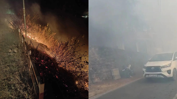 ‘Smoke all over’: Tourist arrivals dip in Kumaon; Uttarakhand recorded over 1k forest fire alerts in April