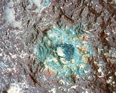Ancient space rock holds clues to origins of life