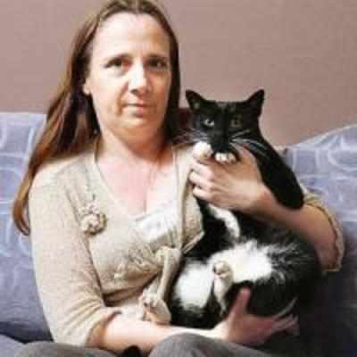 Cat survives 40 minutes in tumble dryer at 40c