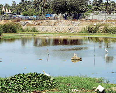 It is Malad residents vs navy in a fight over pond