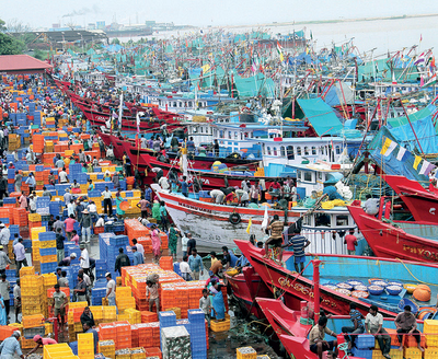 Karnataka cabinet to discuss fish import issue with Goa government; outfits block fish-laden trucks in Karwar