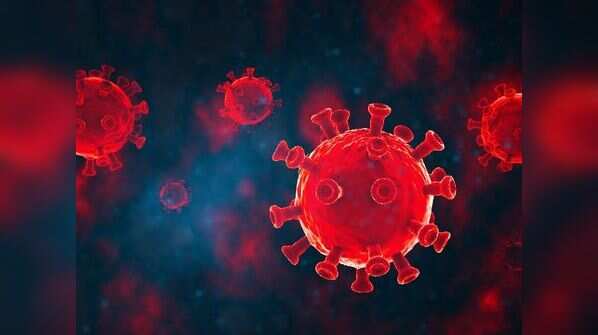 The New coronavirus variant in the United Kingdom