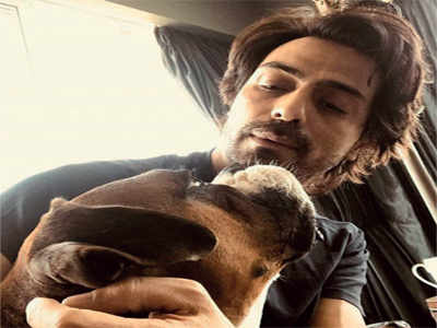 Arjun Rampal's pet Gangsta passes away