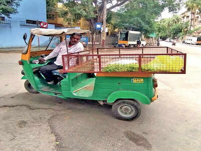 Autos shed skin to become veggie carts