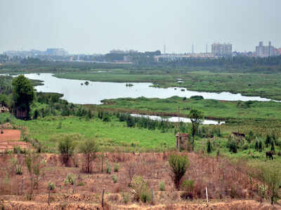 BDA delays de-silting work at Varthur Lake