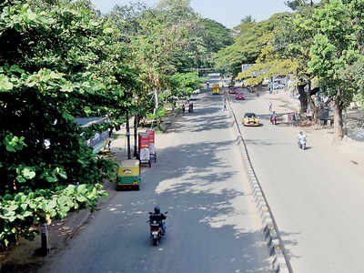 Watch: Posh Indiranagar 100 Ft Road to get a white-topped look