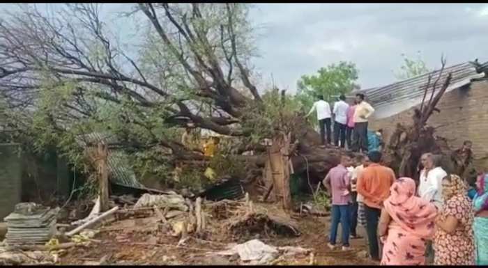 2 DEAD AND 1 injured in Maharashtra : Two sisters (17 years old & 12 years old ) lost their lives and their mother seriously injured after a tree collapsed on their hut due to strong cyclonic winds in Anchalwadi area of Jalgaon 