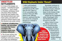 Man-wild conflict continues to haunt CG: 19-yr-old dies in elephant attack