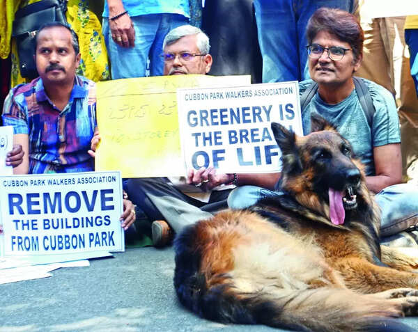 Don’t want Cubbon Park to become IT park: Protesters