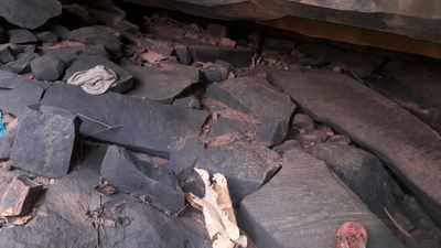 Telangana: Skulls in deep forest hoax has cops on toes