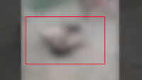 UP: Video of mob lynching in Saharanpur goes viral 