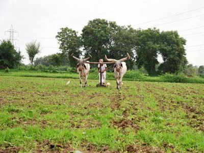 Farmers protest Mumbai-Nagpur expressway: Accused of flipflop, Sena chief pacifies upset farmers