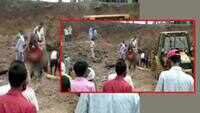 Madhya Pradesh: Six dead in limestone quarry collapse in Shahdol 