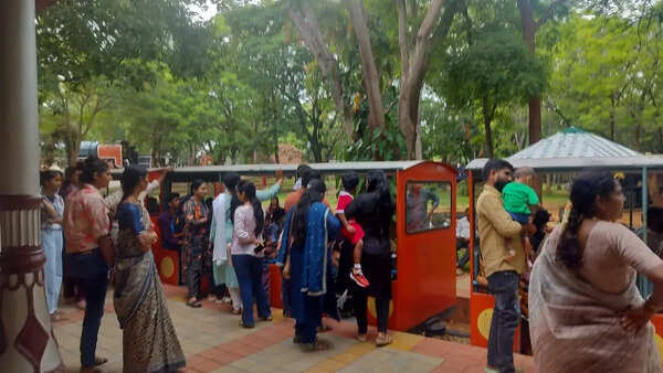 Massive turnout marks Museum Day celebration