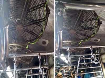 Central Railway: Snake found on Titwala-CSMT local train; leads to chaos during rush hour