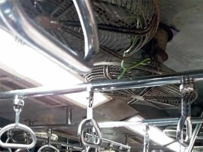 Snake found in local train causes panic; passengers catch and release it at Thane