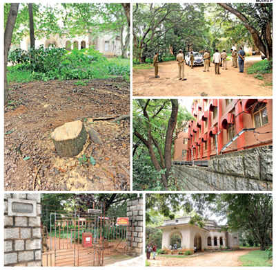CV Raman House loses two sandalwood trees