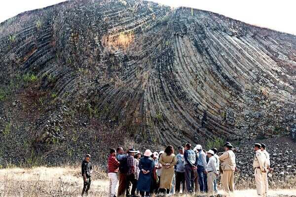 Rice in dinosaur poop, shark teeth in rocks: Bagh beats Jurassic Park