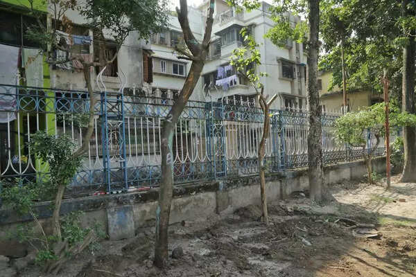 KMC relocates Northern Park trees for pumping stn