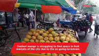 Dasheri still missing from Kanpur fruit markets 