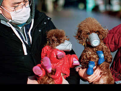 Silver lining: Number of new cases of coronavirus dips for 3rd straight day