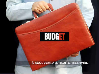 Interim Budget: 10 Things to watch out for