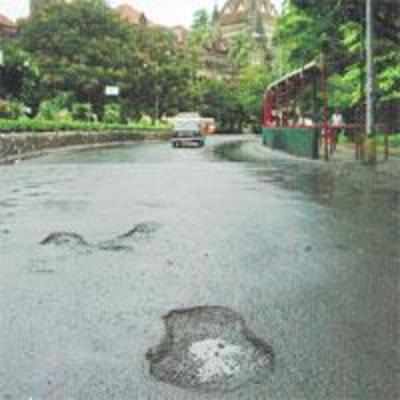BMC will rely on YOU to fine errant road contractors