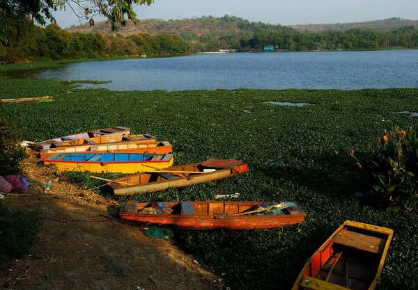 Concerns mount over inadequate Pashan STP, residents say excess sewage polluting lake