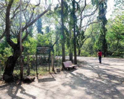 State shrinks Aarey, city fast losing its vital green cover