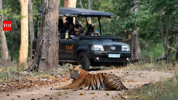 Dubare fallout aftermath: Karnataka's wildlife sanctuaries to replace open jeep safaris with buses
