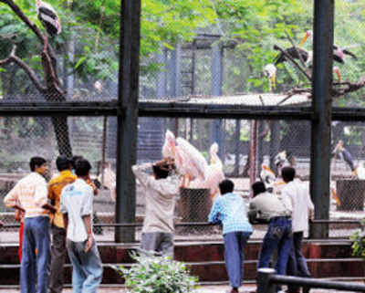 BJP nudges BMC to reach out to ‘sister cities’ overseas for Byculla zoo revamp
