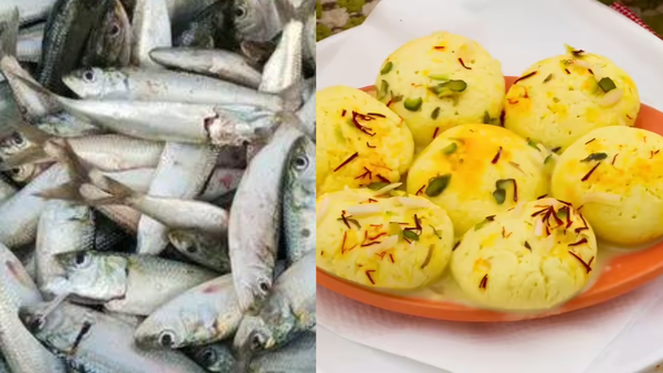 From fish curry to rasmalai: The flavours of BJP's election victory celebrations