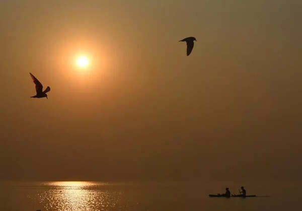 Marathwada dams hold 80% water storage easing summer scarcity concerns