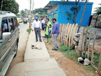 Bengaluru has started counting its strays