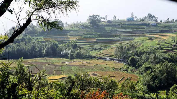 Like in Aravalli range, efforts needed to protect Western Ghats too, say experts