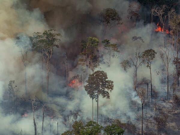 Amazon fire should wake us to the threat closer home
