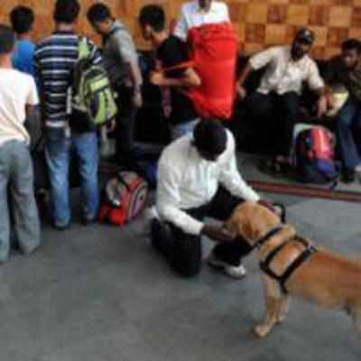 LeT threat: Mumbai airport on high alert