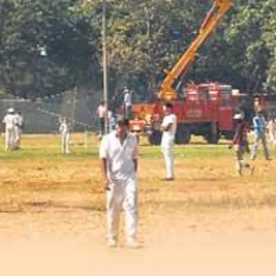 Shivaji Park twin to come up in suburbs