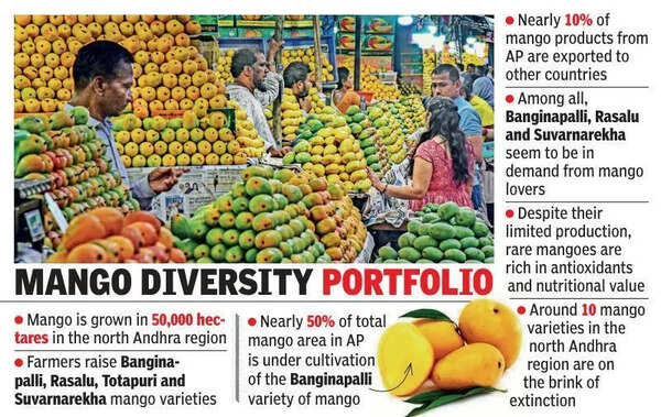 Rare mango varieties vanish in north Andhra over poor market potential