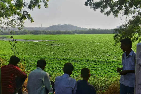 Pashan Lake sewage to be treated at bigger STP in Baner