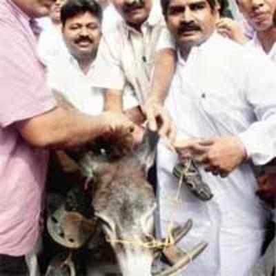 Cong flayed for abusing donkey at protest march