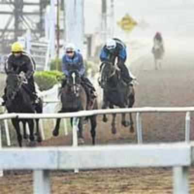 Race-goers could be in for a treat