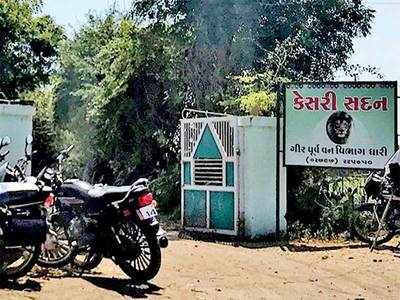 Recruitment of Van Mitras begins in Gir