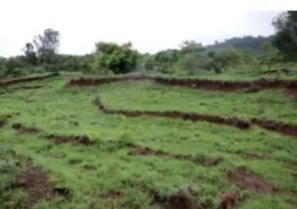 Govt to introduce property cards with valuation for all plots under proposed Land Titling Act