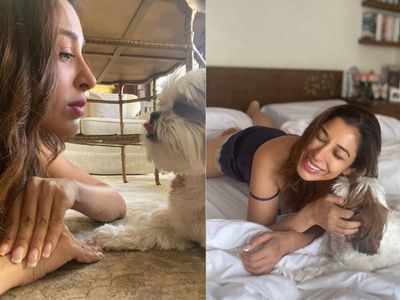 Sophie Choudry shares a "very special bond" with her pet dog, says Tia is her greatest gift and joy