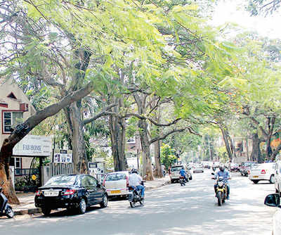 Search on for man soiling Koramangala front yards