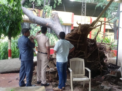 Cyclone Nisarga leaves a trail of 111 uprooted trees in Navi Mumbai; work for removal of debris on