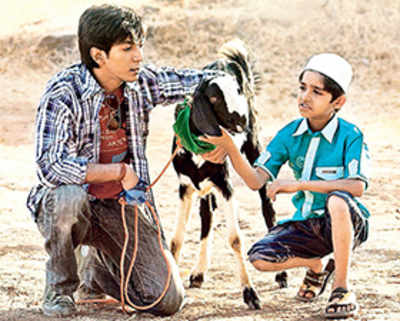 Film review: Yeh Hai Bakrapur